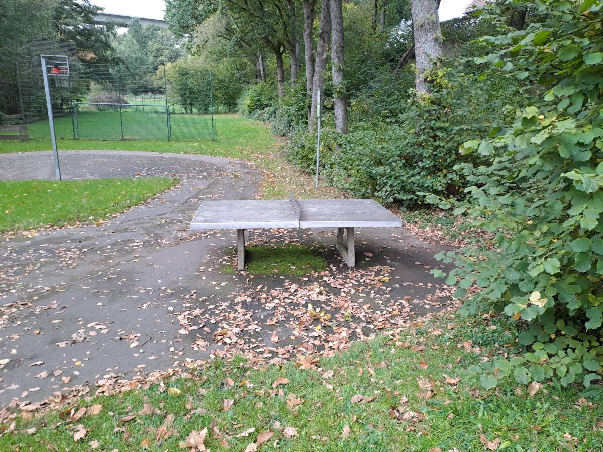 Tischtennis bei Wäldchen
