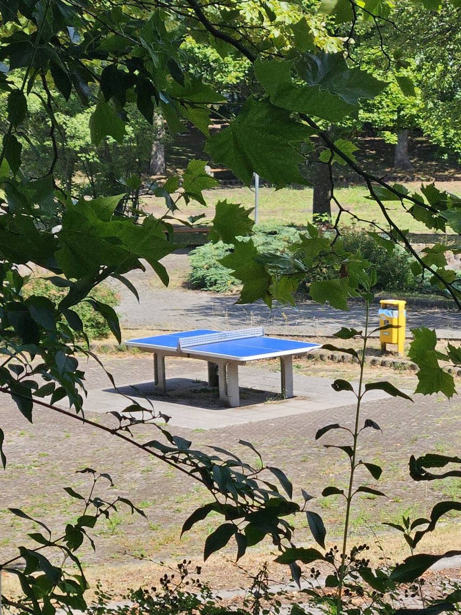 Tischtennis bei Leopold-Lucas-Straße