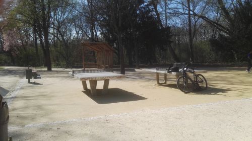 Tischtennis bei Miquelallee