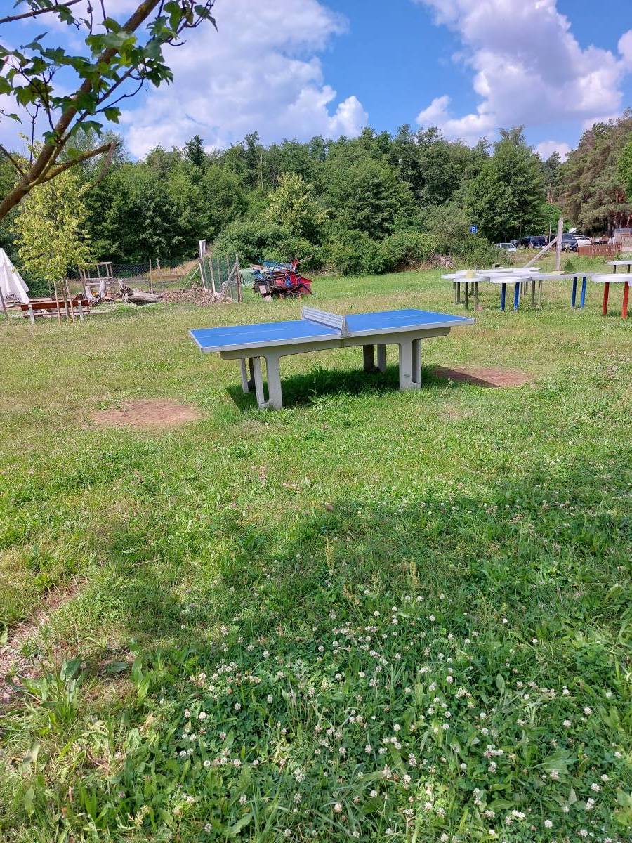 Tischtennis bei Kleiner Waldsee