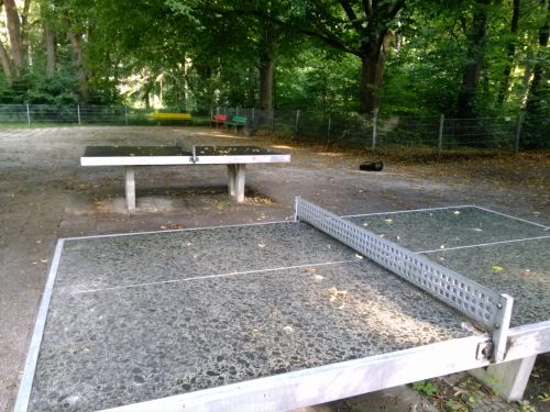 Tischtennis bei Professor-Steinbacher-Straße