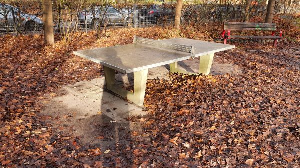 Tischtennis bei Max-Zelck-Straße 10