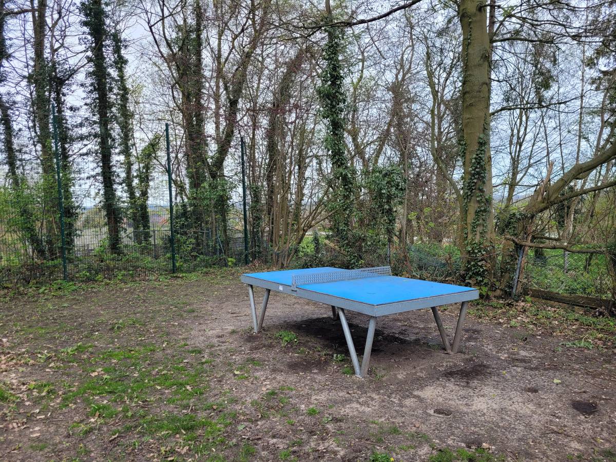Tischtennis bei Mühlenberg