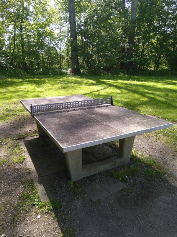 Tischtennis bei Thunstraße 11A