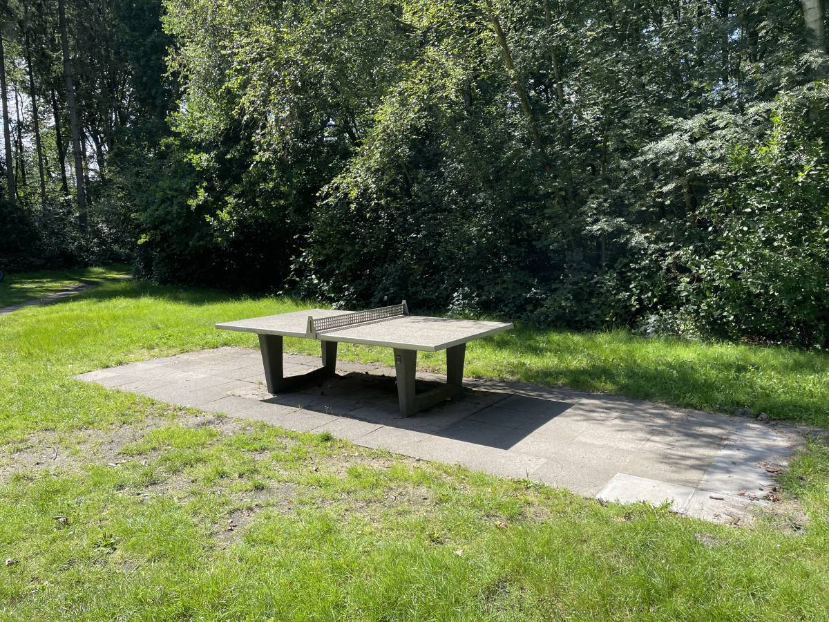 Tischtennis bei Egenbüttelweg
