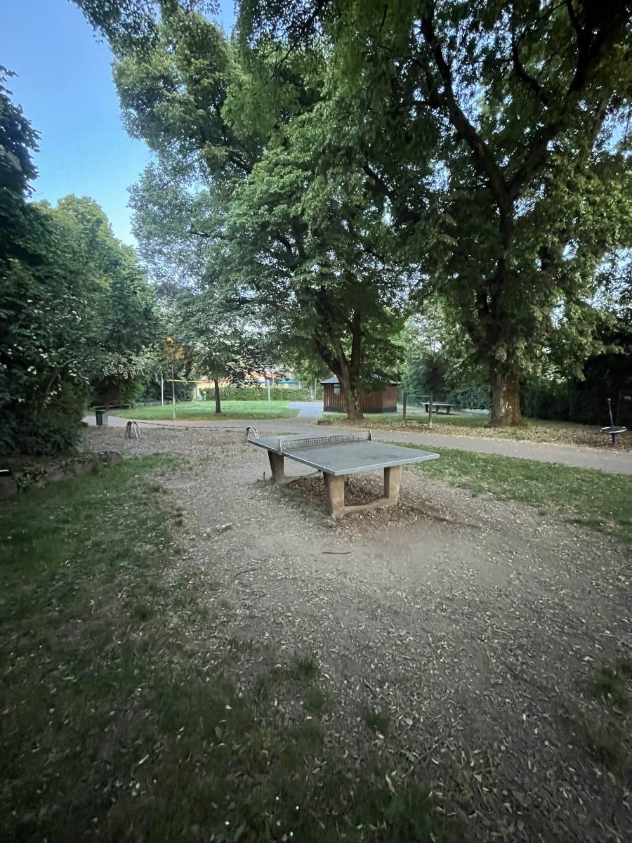 Tischtennis bei Haldenstraße