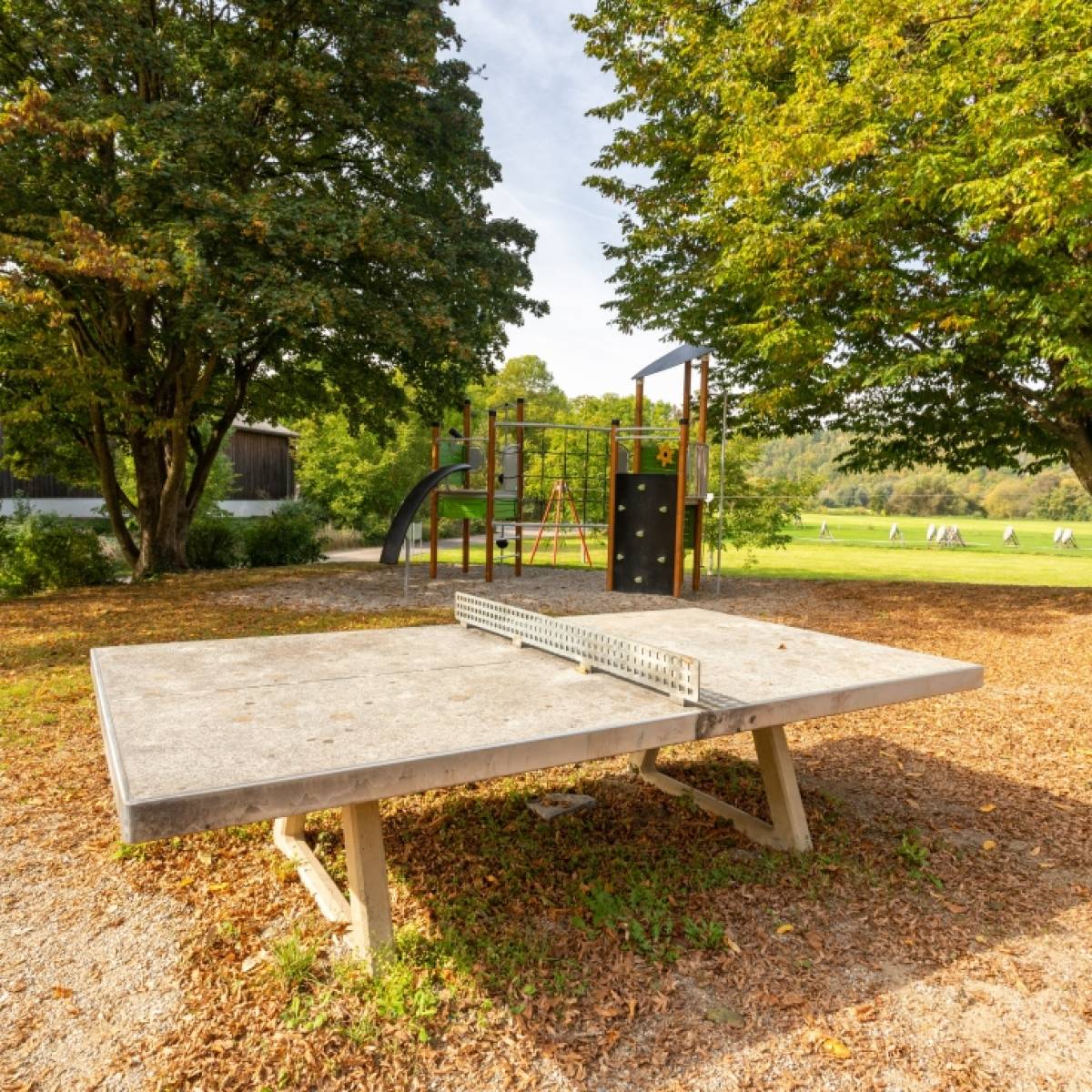 Tischtennis bei Hertlingweg