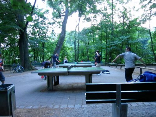 Tischtennis bei Meillerweg