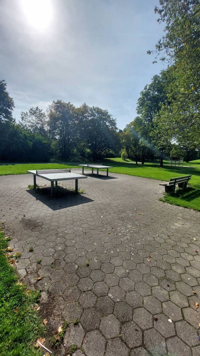 Tischtennis bei Olivierstraße
