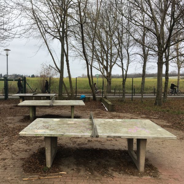 Tischtennis bei Alte Fasanerie