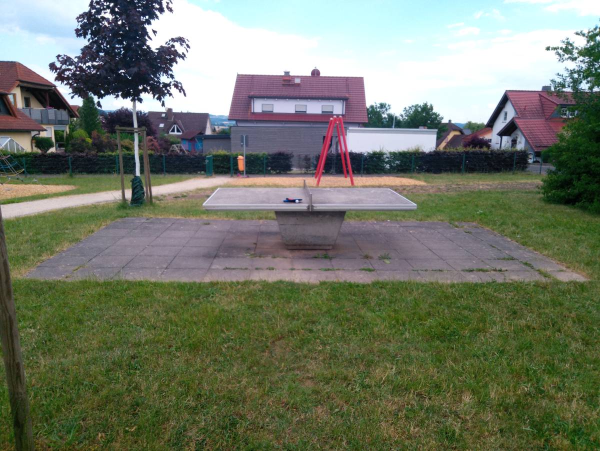 Tischtennis bei Henriette Meta Weg