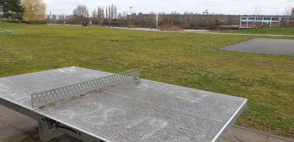 Tischtennis bei Westerdeich 65