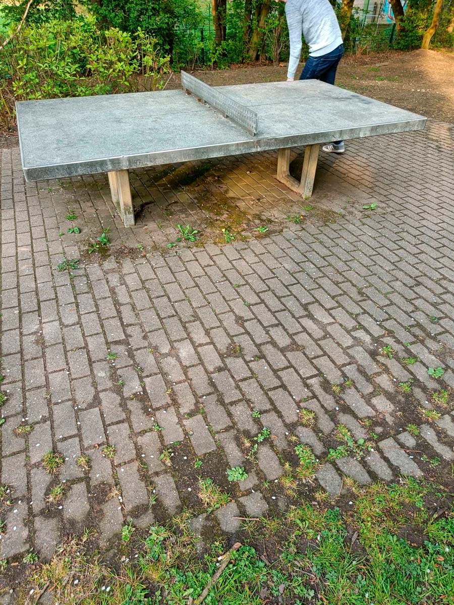 Tischtennis bei Am Bendmannsfeld