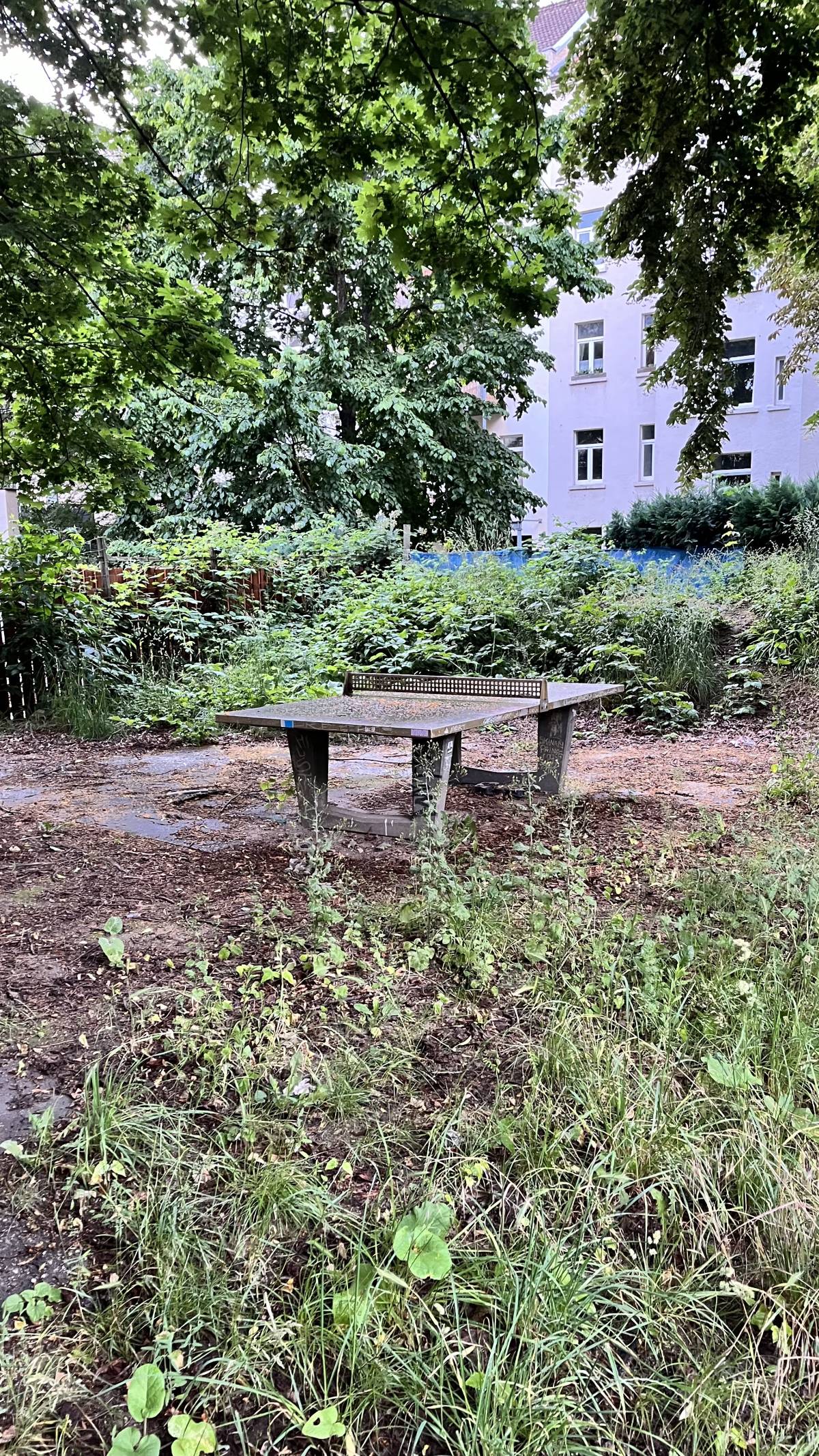 Tischtennis bei Ludwigstraße
