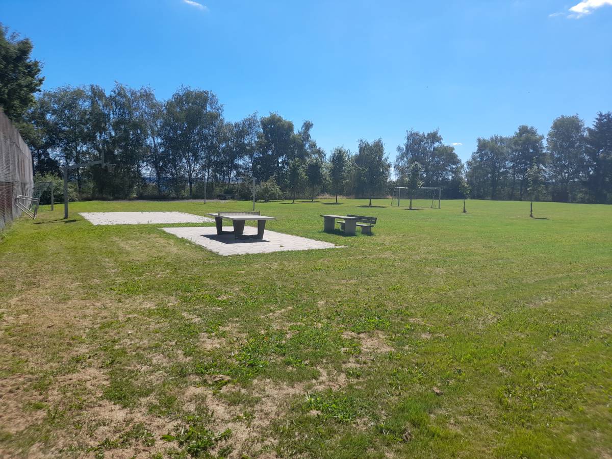 Tischtennis bei Sonnenhof