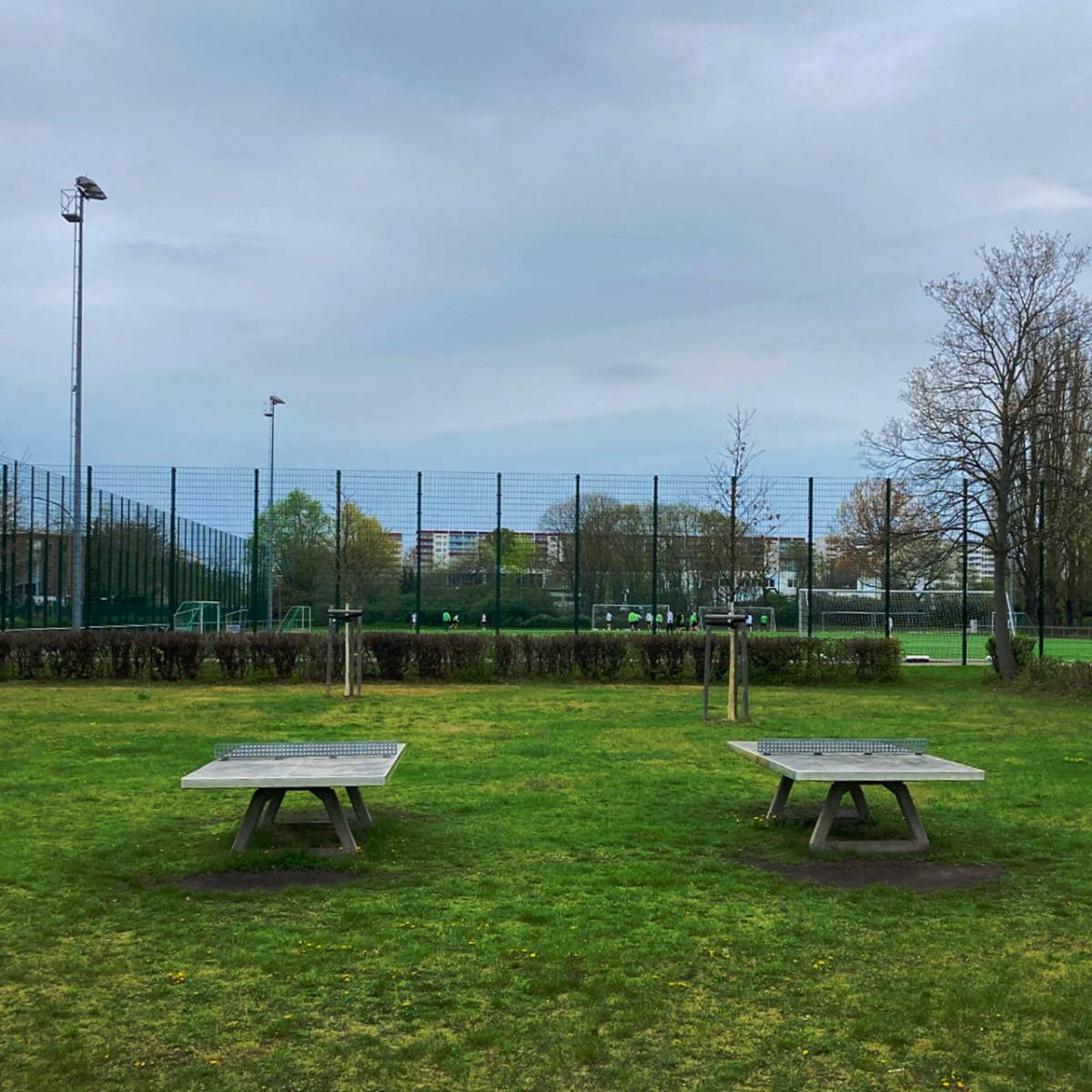 Tischtennis bei Siegfriedstraße