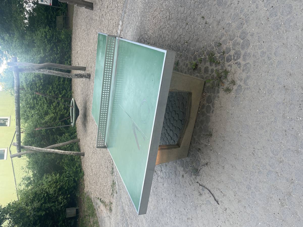 Tischtennis bei Frobenius-Forster-Straße