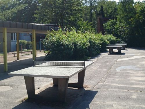 Tischtennis bei Waldherrenallee 12