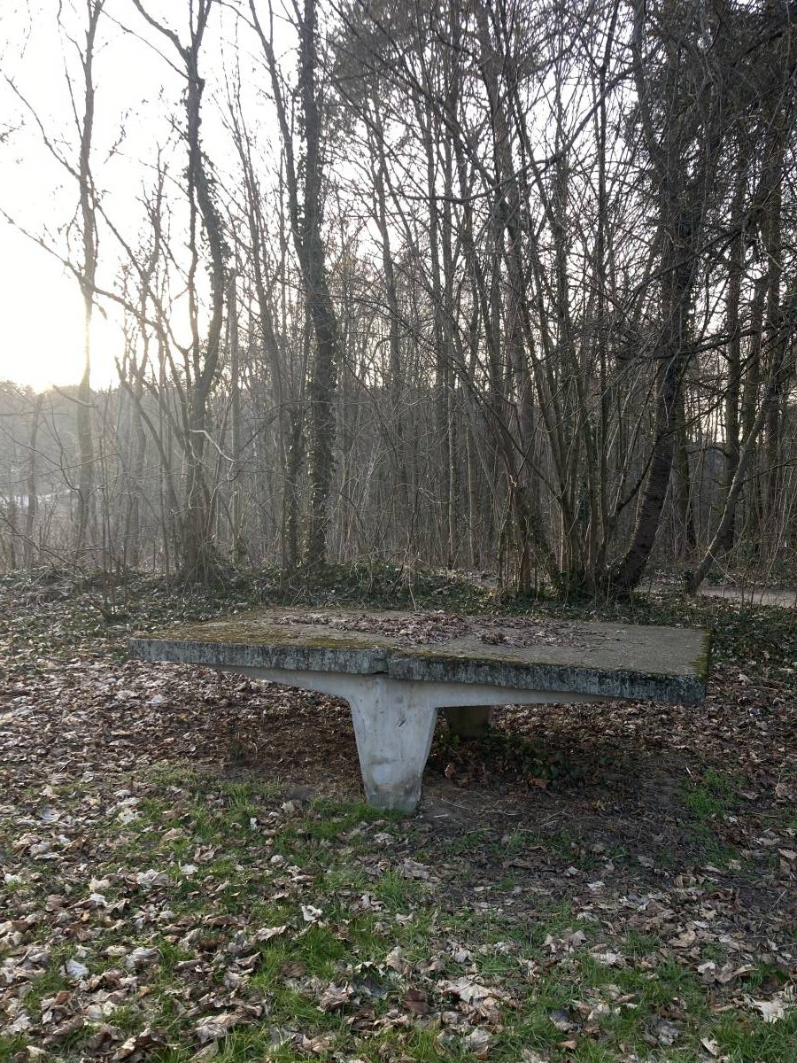 Tischtennis bei Fischerberg