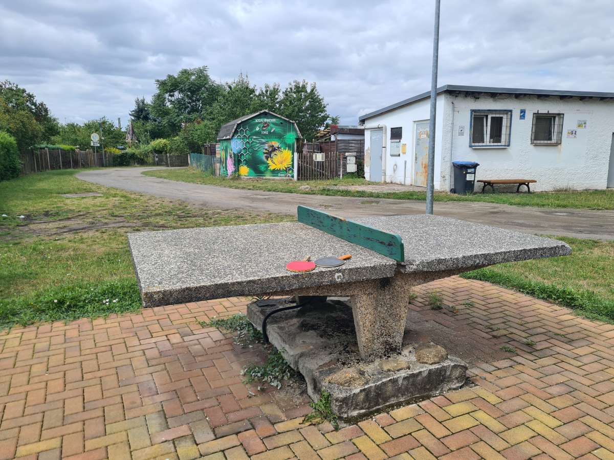Tischtennis bei Torgauer Platz