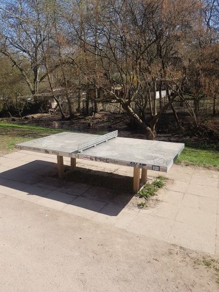 Tischtennis bei Kauffmannstraße