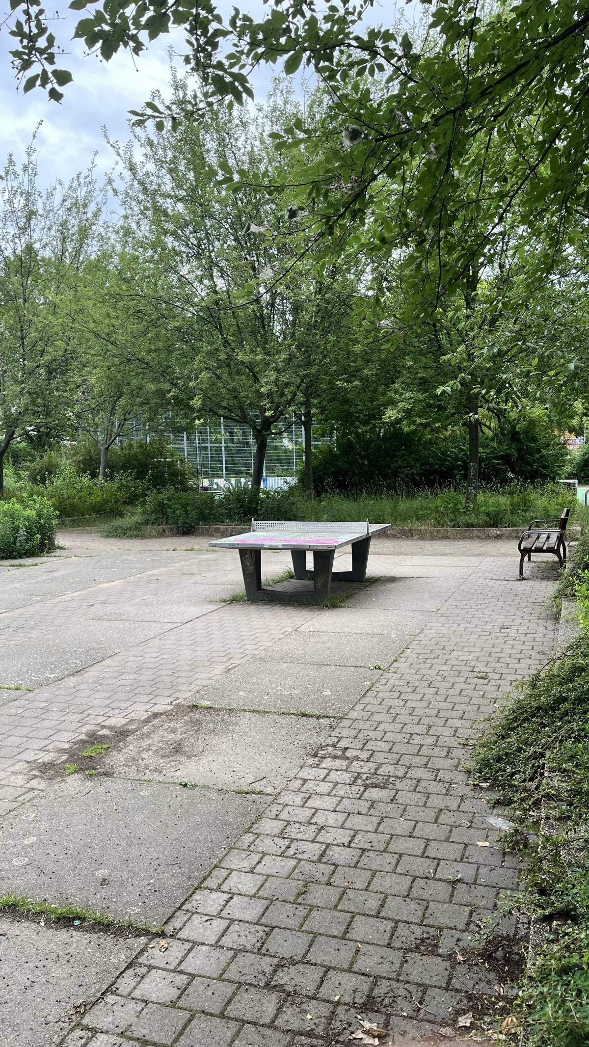 Tischtennis bei Breitkopfstraße