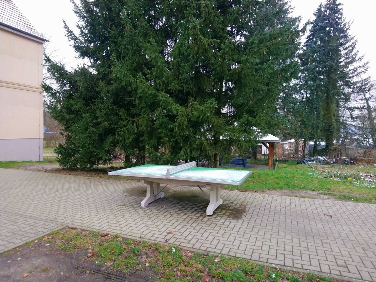 Tischtennis bei An der Alten Schule