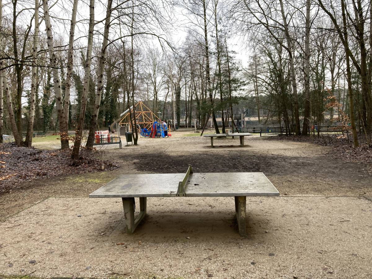 Tischtennis bei Basdorfer Straße