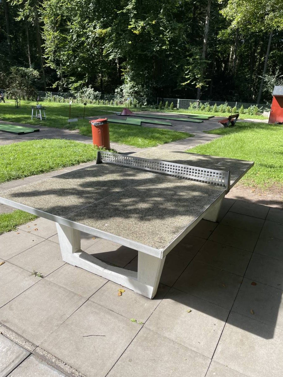 Tischtennis bei Grootmoorredder