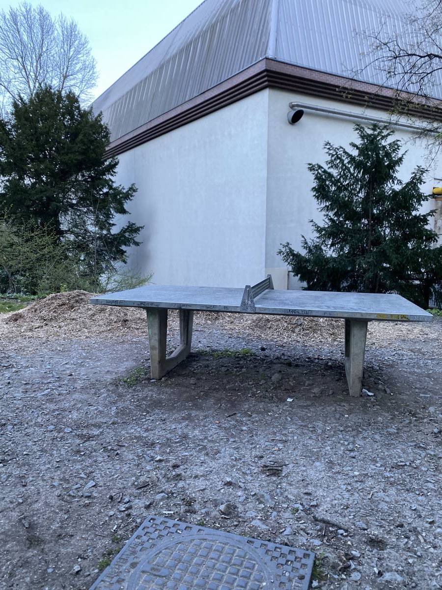 Tischtennis bei Süd