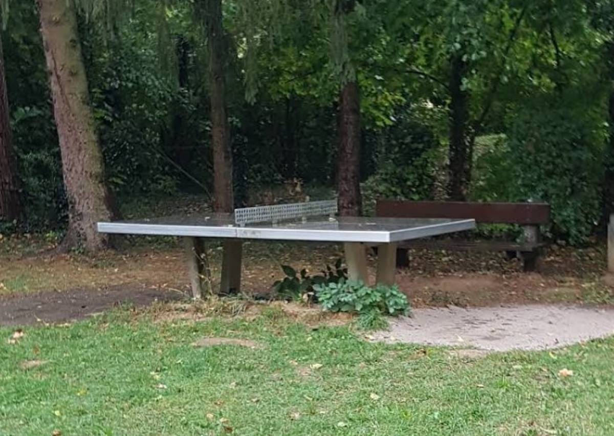 Tischtennis bei Münzenbergstraße