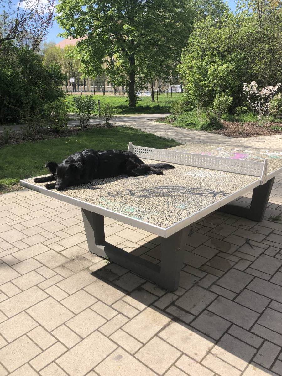 Tischtennis bei Schacherstraße