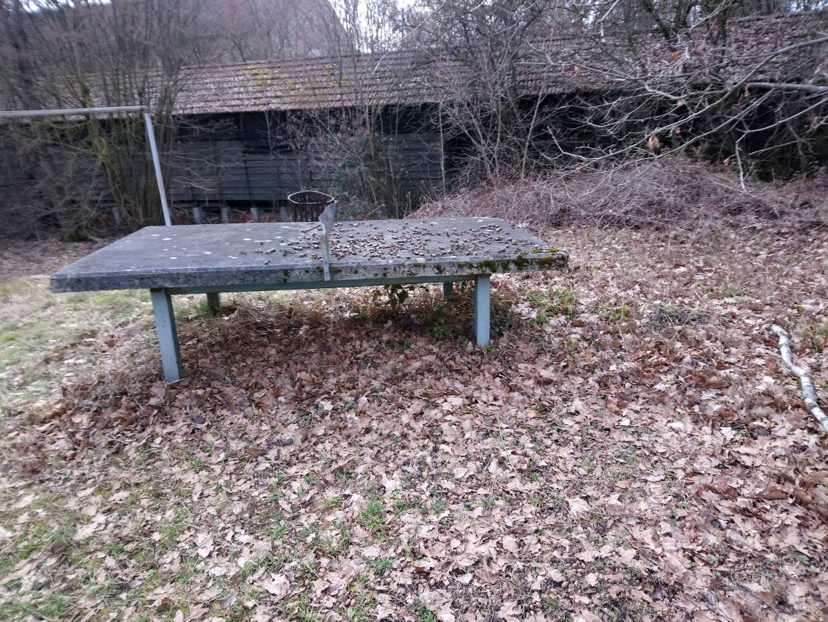 Tischtennis bei Ziegeleistraße