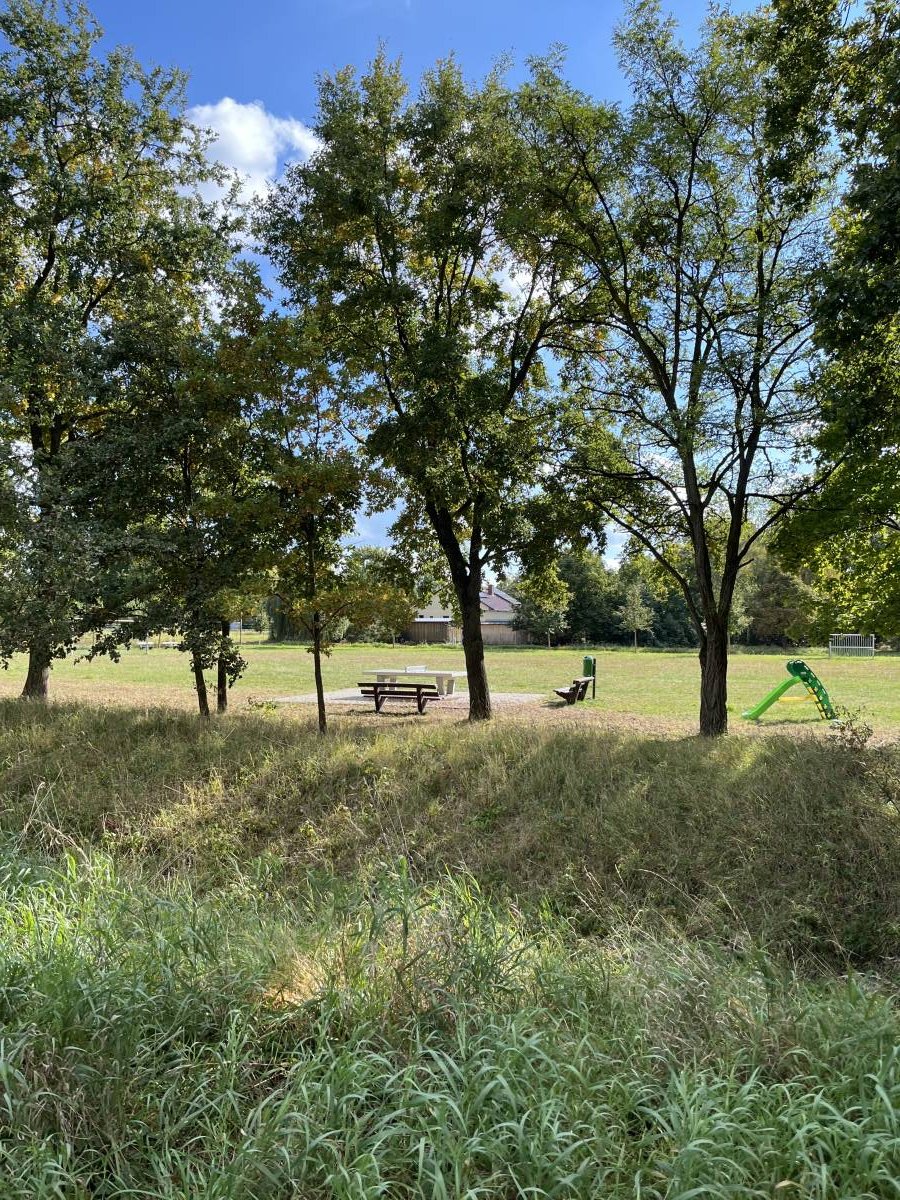 Tischtennis bei Wilhelm-Pieck-Straße