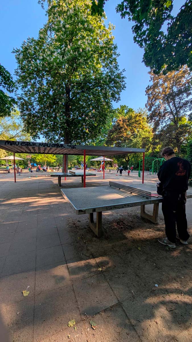 Tischtennis bei Holzhausenstraße