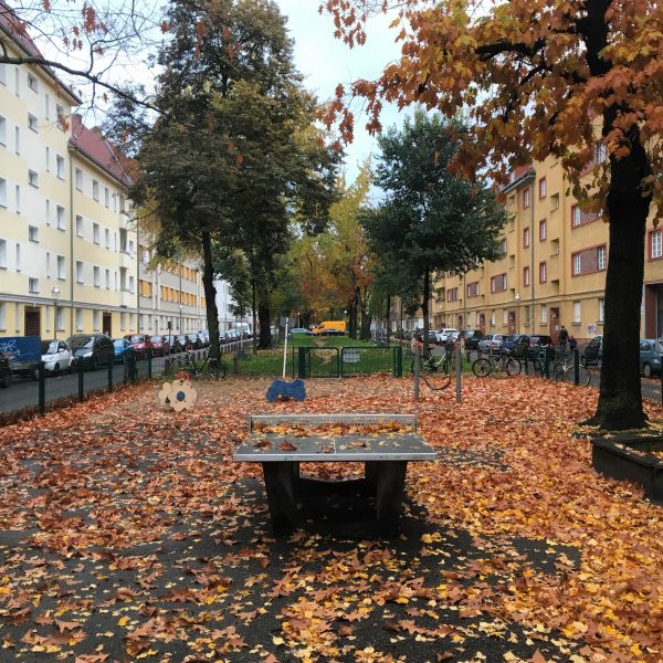 Tischtennis bei Togostraße 24