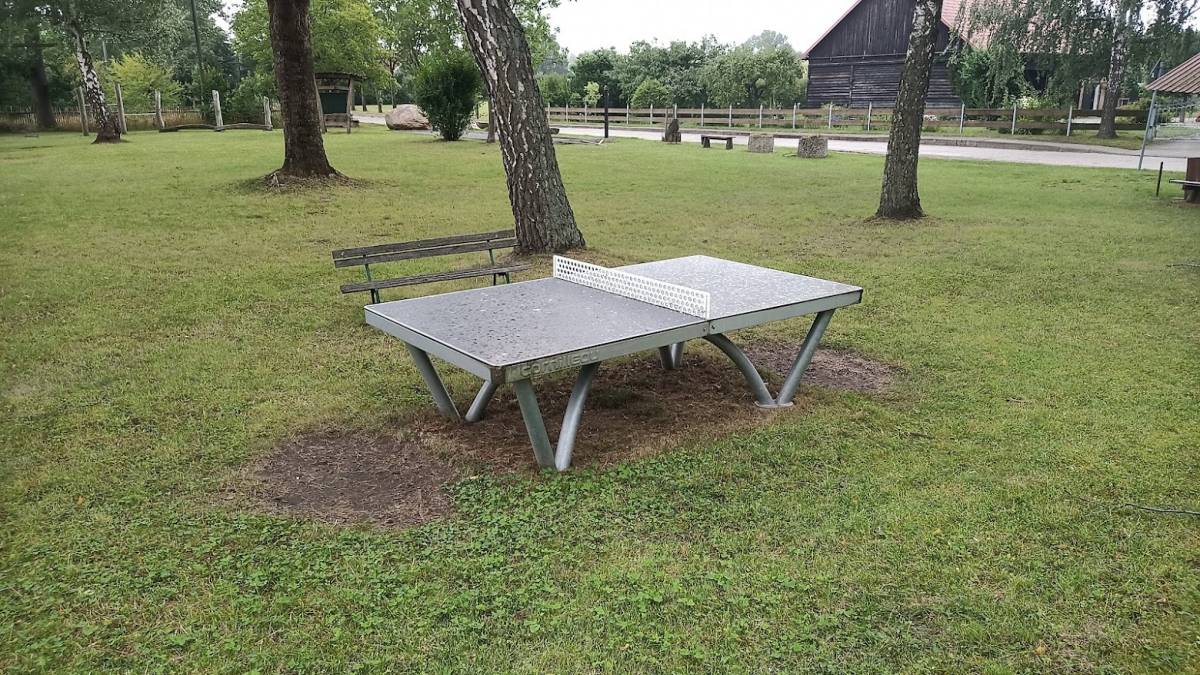 Tischtennis bei Birkenallee