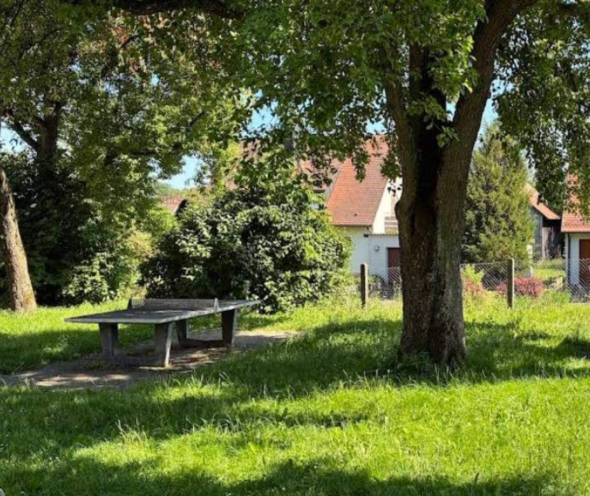 Tischtennis bei Zur Heide