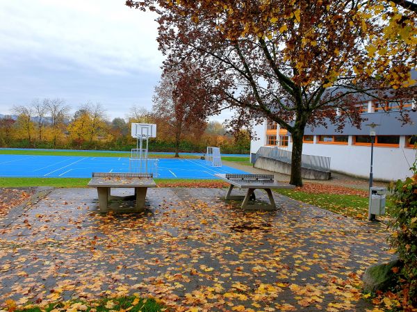 Tischtennis bei Bavendorfer Straße