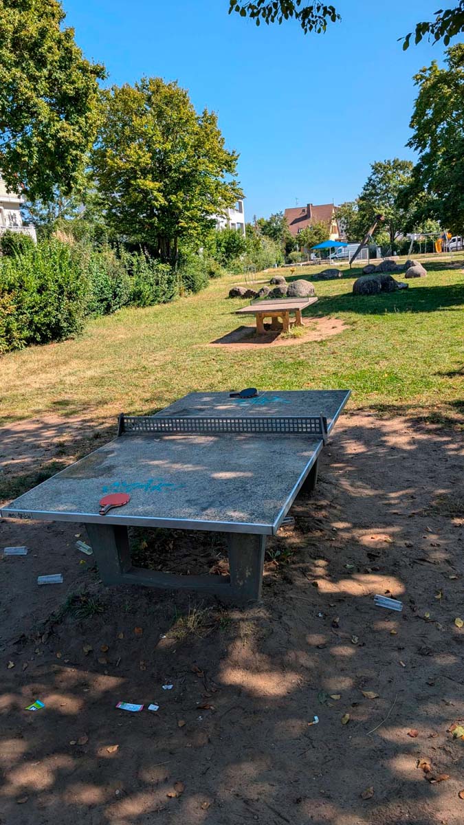 Tischtennis bei Haydnstraße