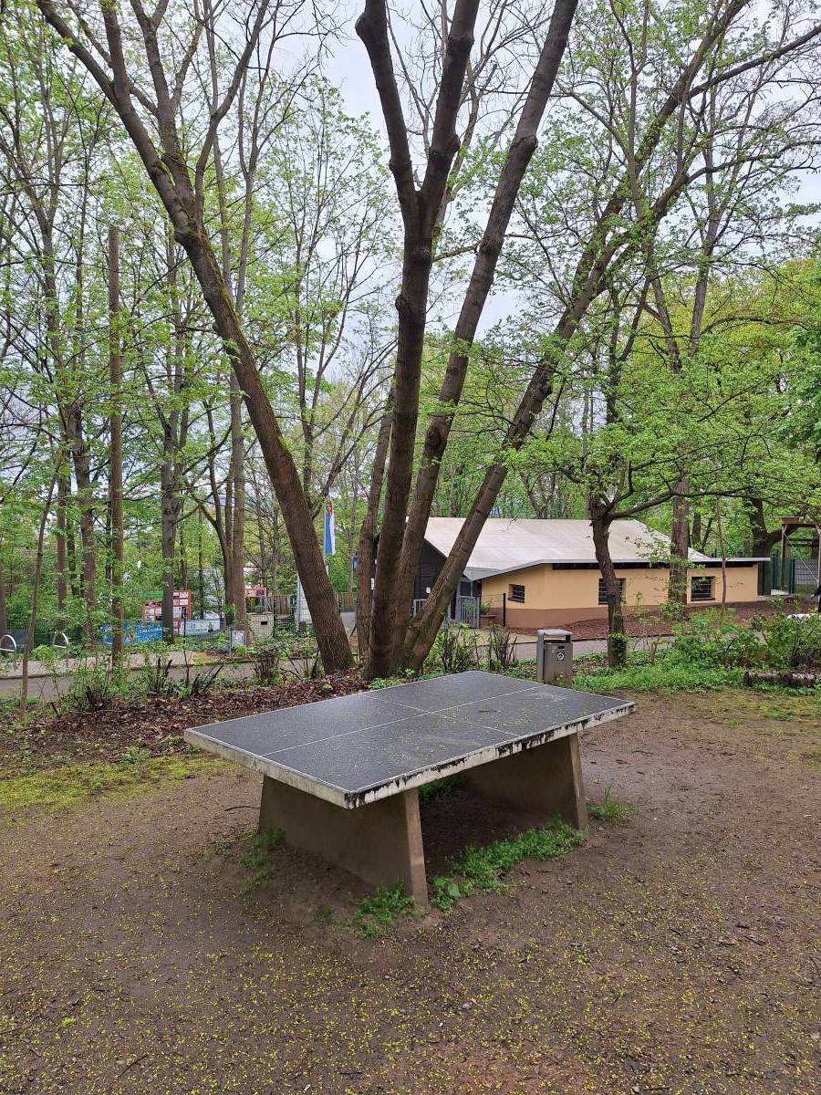 Tischtennis bei Am Lungenberg