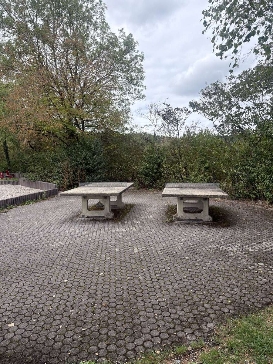 Tischtennis bei Roggensteiner Allee