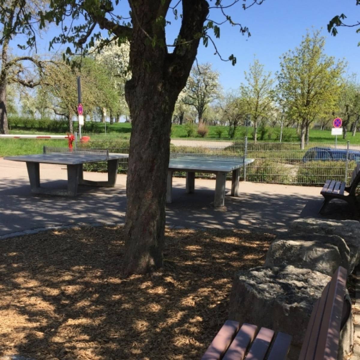Tischtennis bei Wollmershäuser Weg