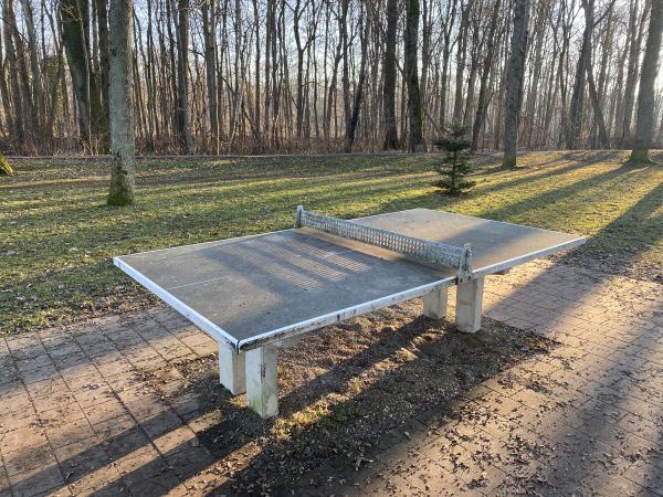 Tischtennis bei Oblatenweg