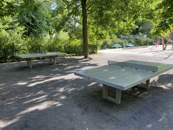 Tischtennis bei Tischtennisplatte #11129