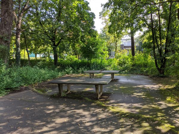 Tischtennis bei Daphnestraße 4