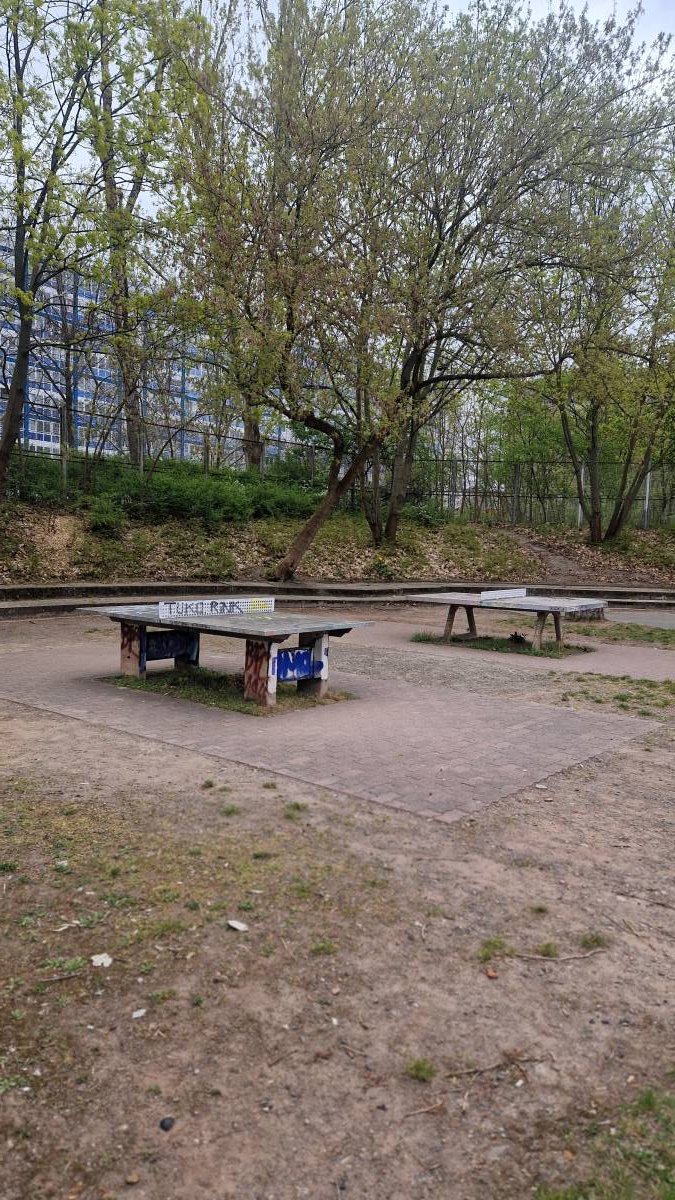 Tischtennis bei Weißenseer Weg