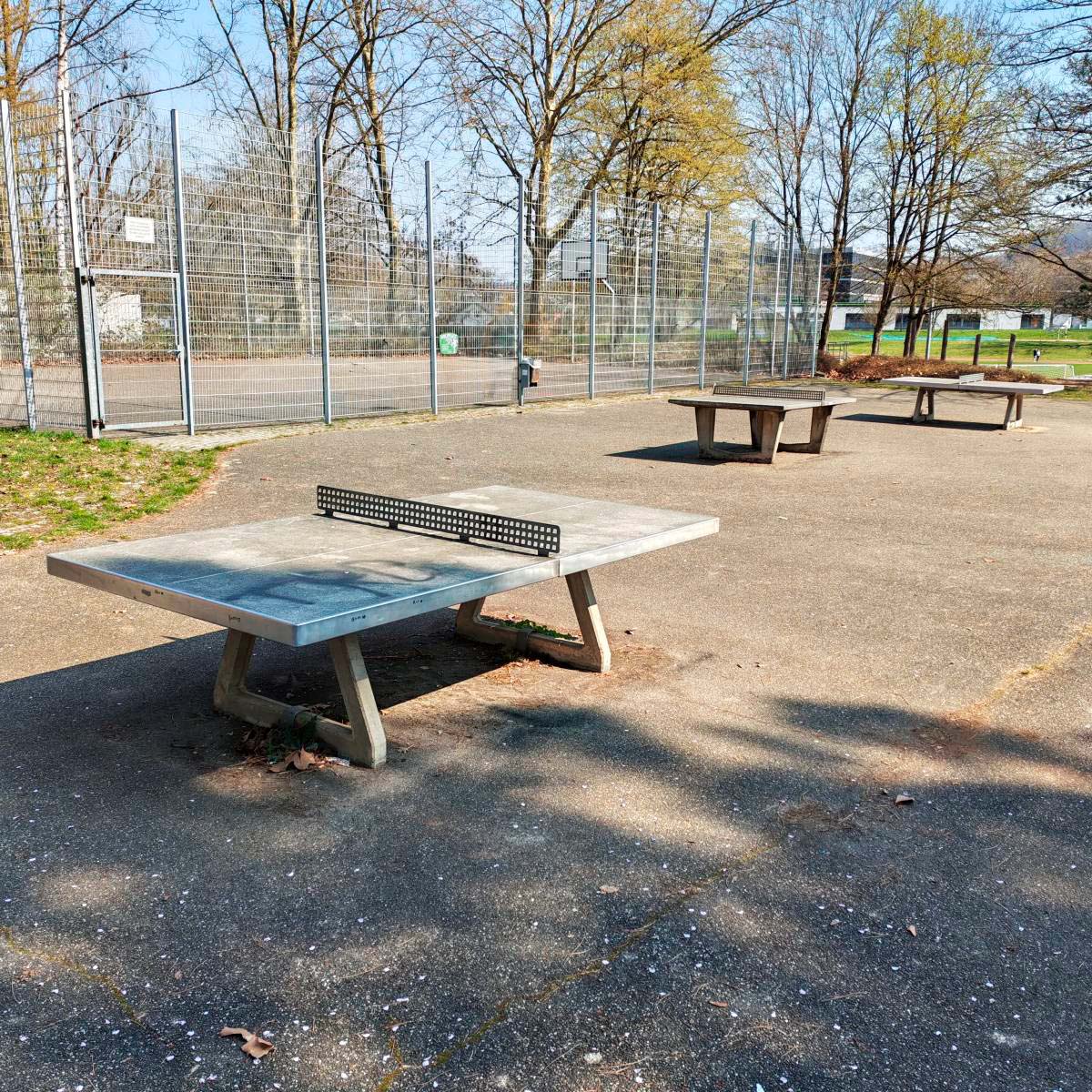 Tischtennis bei Max-von-Laue-Straße