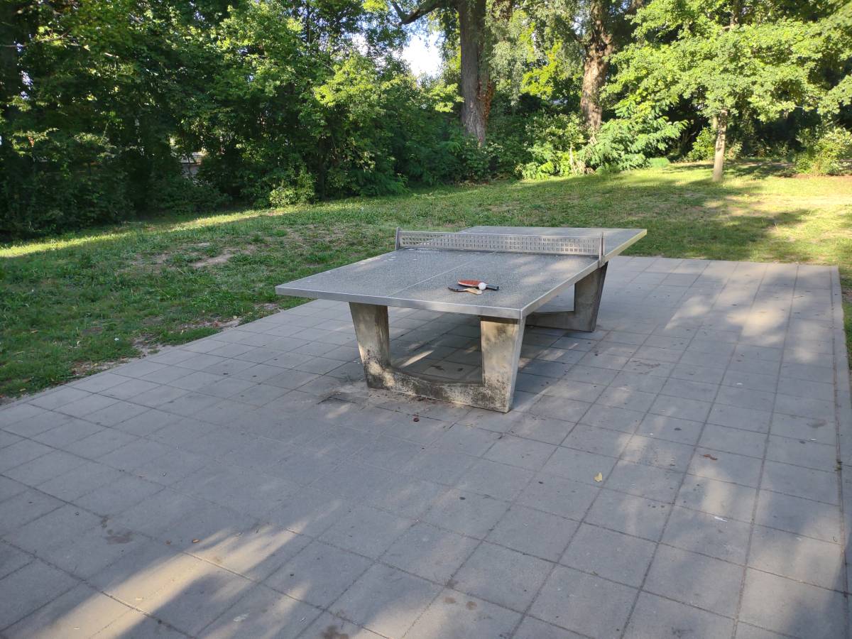 Tischtennis bei Rodaustraße