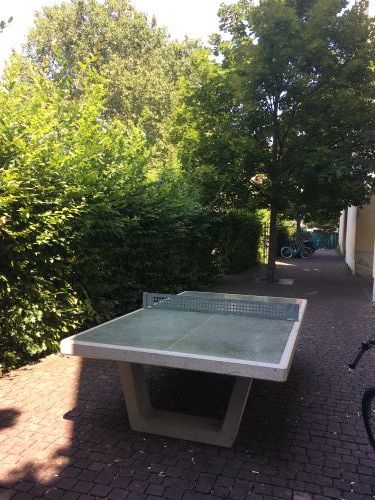 Tischtennis bei Bergheim-Ost